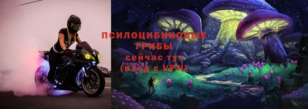 тгк Нефтекумск