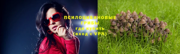 соль курить ск Новозыбков