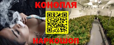 сатива Гусев