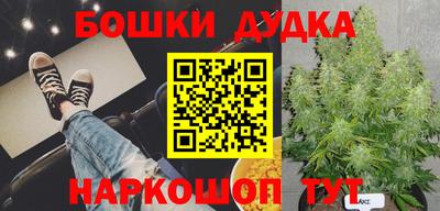 сатива Гусев