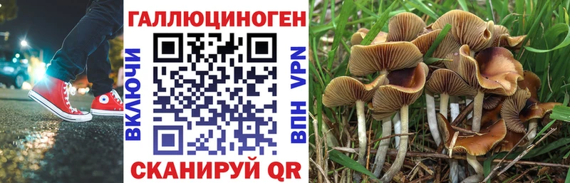Галлюциногенные грибы MAGIC MUSHROOMS  Иркутск 