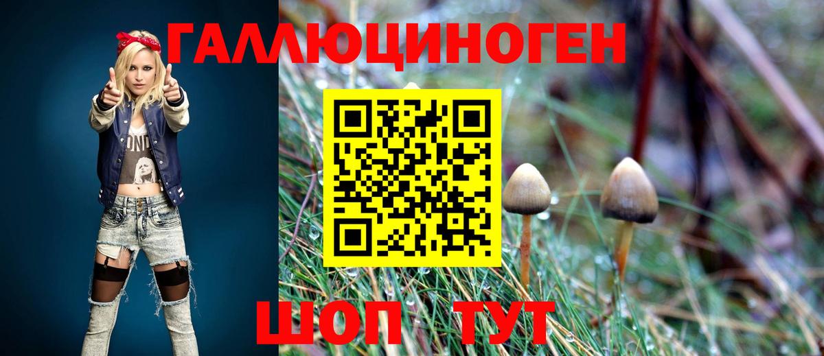 Иркутск  Псилоцибиновые грибы Magic Shrooms  Вход с VPN 